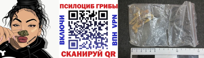 сайты даркнета телеграм  купить наркоту  блэк спрут сайт  Мантурово  Галлюциногенные грибы GOLDEN TEACHER 